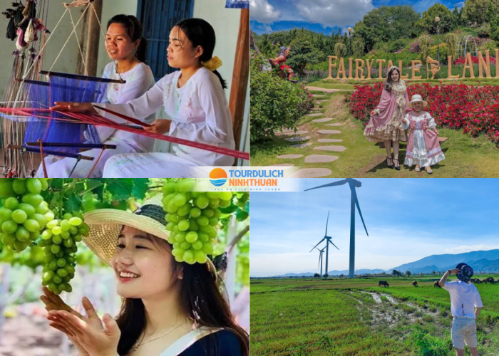 Tour Ninh Thuận - Đà Lạt 5 Ngày 4 Đêm Khởi Hành Từ Lạng Sơn