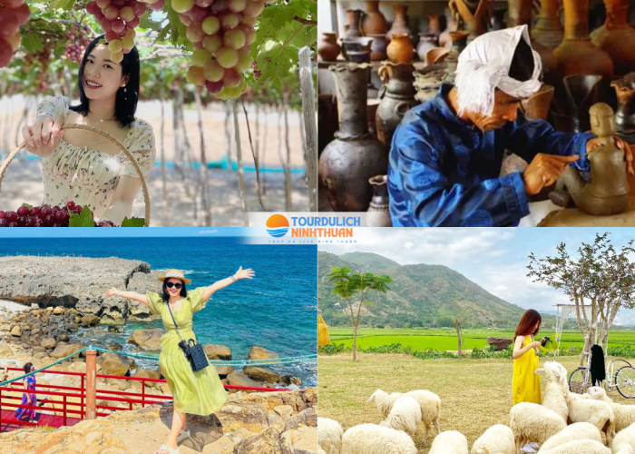 Tour Ninh Thuận 3 Ngày 2 Đêm Khởi Hành Từ Đắk Nông