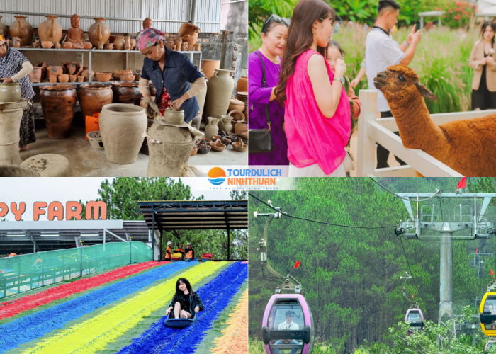 Tour Ninh Thuận - Đà Lạt 5 Ngày 4 Đêm Khởi Hành Từ Gia Lai