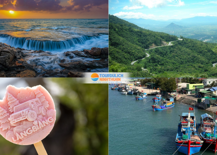 Tour Ninh Thuận - Đà Lạt 5 Ngày 4 Đêm Khởi Hành Từ Bình Định