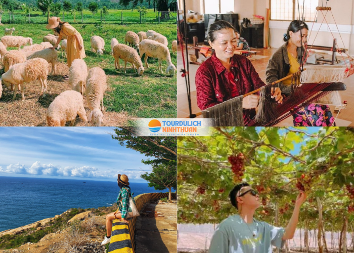 Tour Ninh Thuận 3 Ngày 3 Đêm Khởi Hành Từ Quảng Nam
