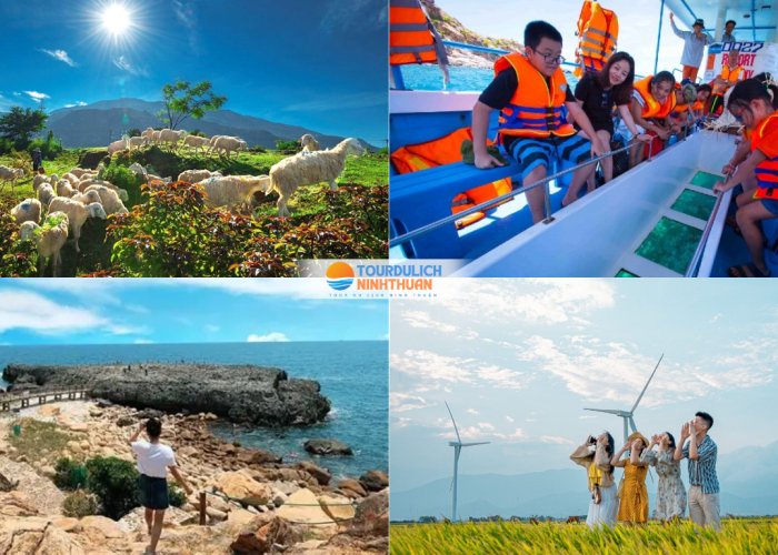 Tour Ninh Thuận 3 Ngày 3 Đêm Khởi Hành Từ Đồng Tháp