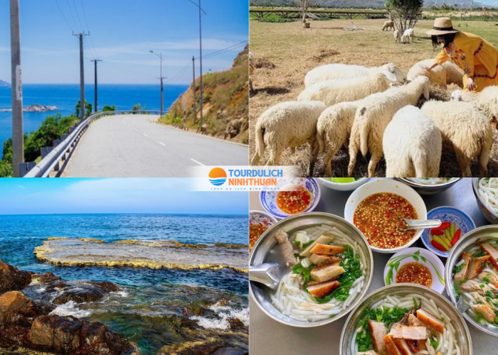 Tour Ninh Thuận 3 Ngày 3 Đêm Khởi Hành Từ Vĩnh Long