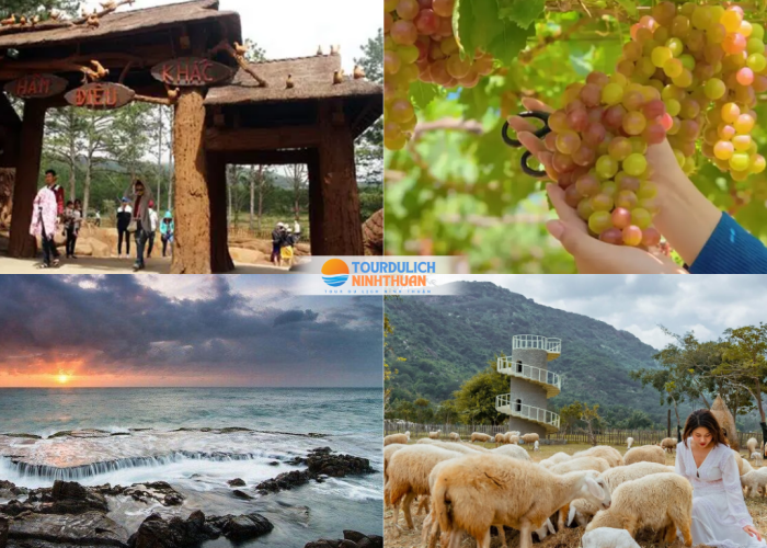 Tour Ninh Thuận - Đà Lạt 5 Ngày 4 Đêm Khởi Hành Từ Đồng Tháp