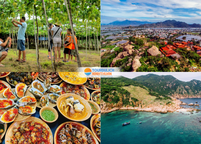 Tour Ninh Thuận 3 Ngày 3 Đêm Khởi Hành Từ Tây Ninh