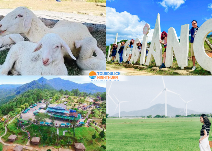 Tour Ninh Thuận - Đà Lạt 5 Ngày 4 Đêm Khởi Hành Từ Thái Nguyên