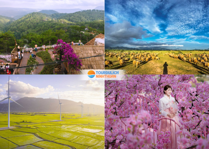 Tour Ninh Thuận - Đà Lạt 5 Ngày 4 Đêm Khởi Hành Từ Hà Nội