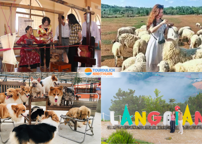 Tour Ninh Thuận - Đà Lạt 5 Ngày 4 Đêm Khởi Hành Từ Hải Dương