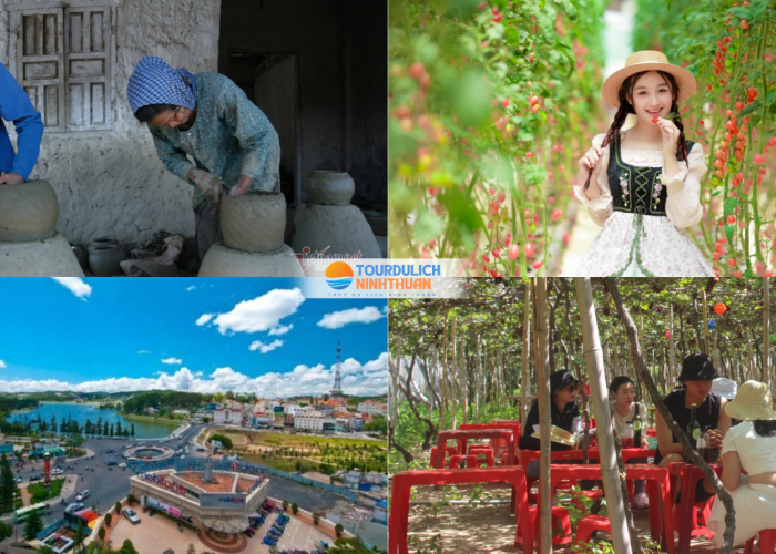 Tour Ninh Thuận - Đà Lạt 5 Ngày 4 Đêm Khởi Hành Từ Bình Dương