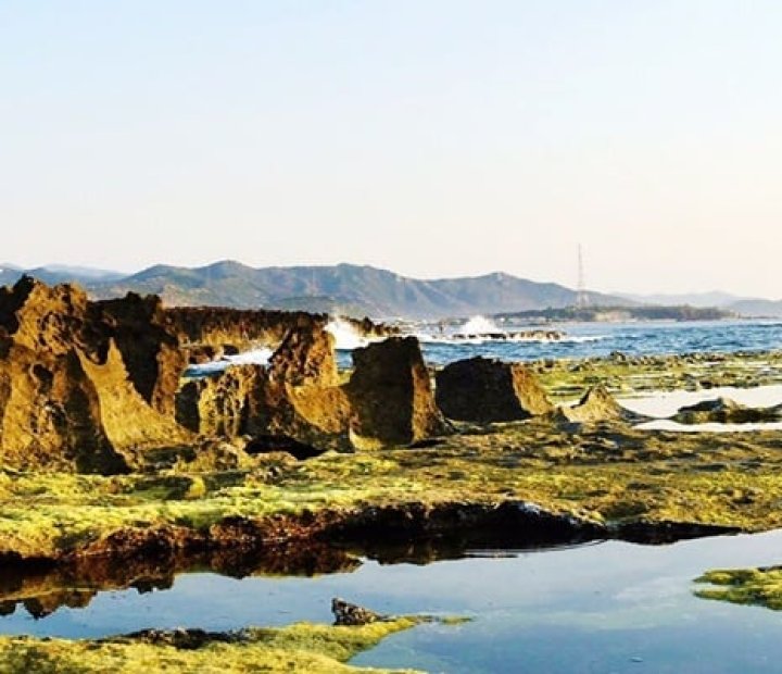 Hòn Đỏ Ninh Thuận – Địa điểm cắm trại, check-in rừng san hô trên cạn